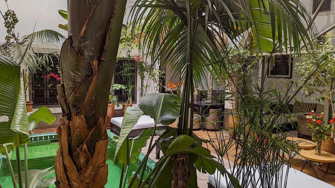 Riad Jardin Des Sens & Spa Marrakesh Ngoại thất bức ảnh